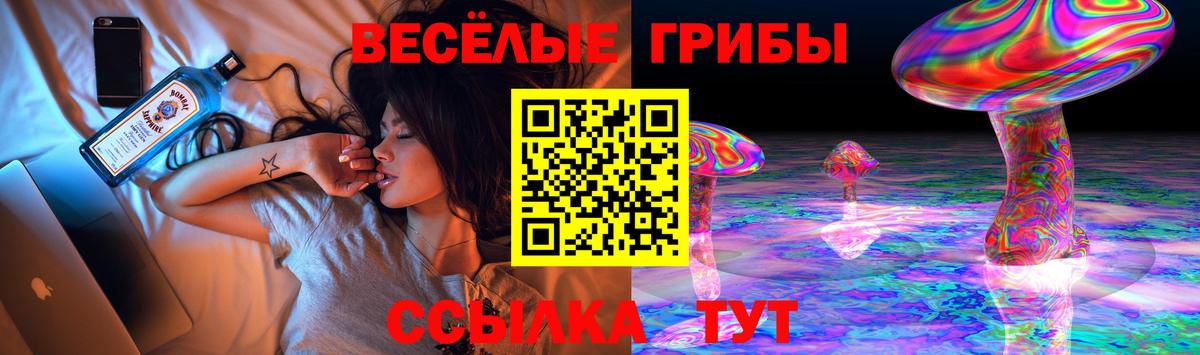Галлюциногенные грибы прущие грибы  Галлюциногенные грибы MAGIC MUSHROOMS  Вход с VPN  Сочи 